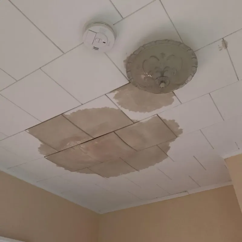 Ceiling Water Damage Repair in Lake Meade, PA